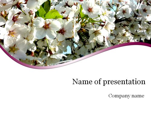 Sakura Powerpoint template