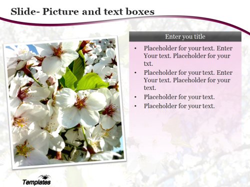 download-free-sakura-powerpoint-template-for-presentation