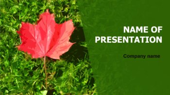 Beauty Leaf PowerPoint theme
